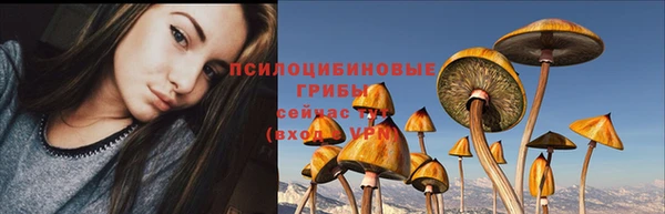 ешки Алексеевка