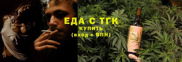 гидра Каменка