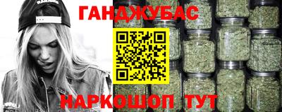 прущие крисы Кингисепп