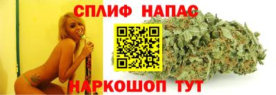 прущие крисы Кингисепп