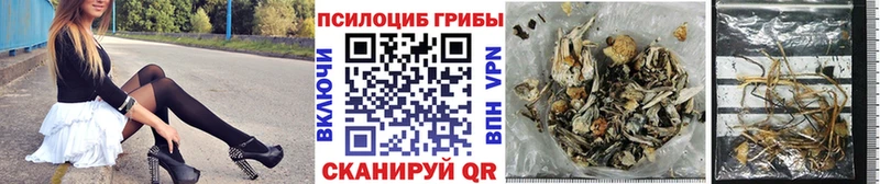 Псилоцибиновые грибы Cubensis Кизляр