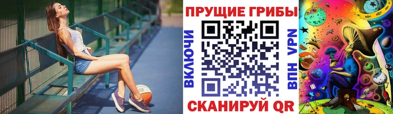 Псилоцибиновые грибы Psilocybe  где найти   Кизляр 