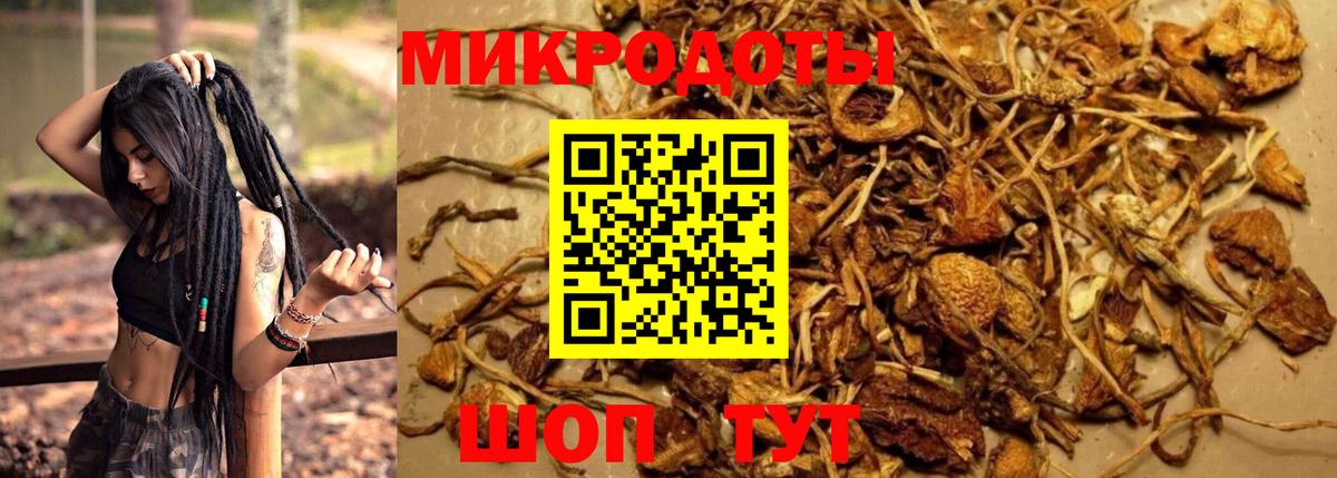 как найти закладки  Вход с VPN  Кизляр  Галлюциногенные грибы GOLDEN TEACHER 
