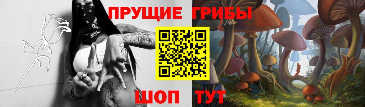 Галлюциногенные грибы Psilocybe Кизляр